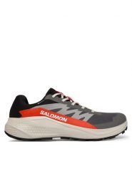 Salomon Buty do biegania Alphaglide Gore-Tex L47975300 Szary. Szare obuwie do biegania damskie Salomon. Za 509.99 zł.