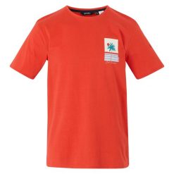 T-shirt Męski Cline IX Cool Summer. Czerwone t-shirty męskie Regatta, m, bez wzorów, bez kołnierzyka. Za 44.99 zł.