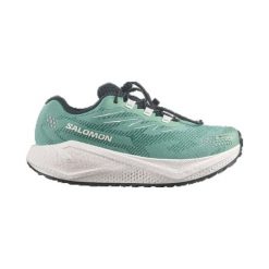 Obuwie Biegi gravelowe Kobiety AERO BLAZE 4 GRVL GORE-TEX. Zielone obuwie do biegania damskie Salomon. Za 689.00 zł.
