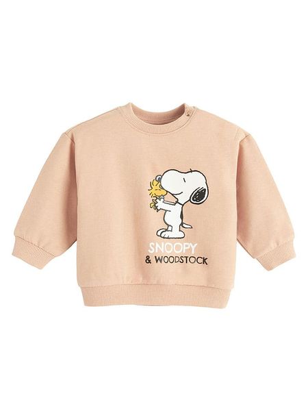 COOL CLUB Bluza w kolorze pomarańczowym rozmiar: 68. Pomarańczowe bluzy i bluzki niemowlęce COOL CLUB, bez wzorów, z bawełny, bez ramiączek, bez kaptura. Za 36.95 zł.
