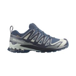Obuwie Biegi w terenie Mężczyzna XA PRO 3D V9 GORE-TEX. Niebieskie obuwie do biegania damskie Salomon. Za 1,015.00 zł.