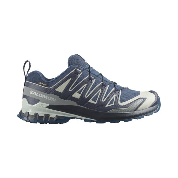 Obuwie Biegi w terenie Mężczyzna XA PRO 3D V9 GORE-TEX. Niebieskie obuwie do biegania damskie Salomon. Za 729.00 zł.