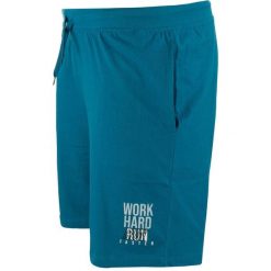 Męskie szorty sportowe Einar Ottanio – oddychające. Niebieskie szorty męskie ZFOAM, bez wzorów, z bawełny, sportowe. Za 169.99 zł.