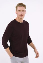 Lekki sweter S-RADO. Fioletowe swetry męskie Volcano, l, bez wzorów, z bawełny, bez kołnierzyka. Za 149.99 zł.