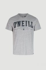 T-shirt męski O'Neill State Muir T-Shirt z krótkim rękawem. Szare t-shirty męskie O'neill, m, bez wzorów, z bawełny, bez kołnierzyka. Za 119.00 zł.