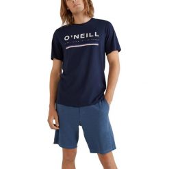 T-shirt męski O'Neill Arrowhead T-Shirt z krótkim rękawem. Brązowe t-shirty męskie O'neill, m, bez wzorów, bez kołnierzyka. Za 129.00 zł.
