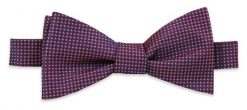 Fioletowa Elegancka Wiązana Mucha w Frobny Rzucik -EM Men's Accessories- Męska. Fioletowe krawaty i muchy męskie Em men's accessories, bez wzorów, eleganckie. Za 59.99 zł.