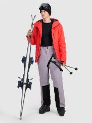 4F Spodnie narciarskie z szelkami membrana Dermizax 20000 męskie - szare L. Szare spodnie materiałowe męskie 4f, bez wzorów. Za 999.99 zł.