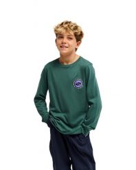 Koszulka dla Chłopcy EV DUALITY Zielony. Zielone koszulki męskie z długim rękawem Quiksilver, m, z bawełny. Za 84.99 zł.