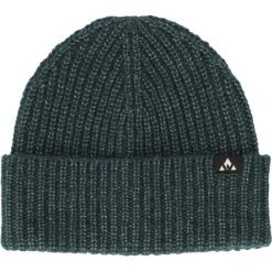 Czapka Whistler Plico. Niebieskie czapki męskie WHISTLER. Za 158.00 zł.