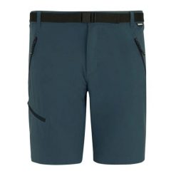Szorty Regatta Xert Stretch. Niebieskie szorty męskie Regatta, bez wzorów, sportowe. Za 199.99 zł.