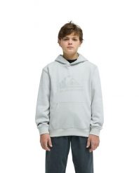 Bluza z kapturem dla Chłopcy COMP LOGO Szary. Szare bluzy z kapturem męskie Quiksilver, m, z bawełny. Za 169.99 zł.