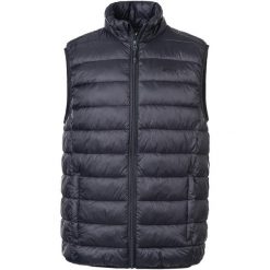 Kurtka puchowa Whistler Horis Pro-Lite. Czarne kurtki męskie WHISTLER, m, bez wzorów, z poliamidu, bez kaptura. Za 260.00 zł.