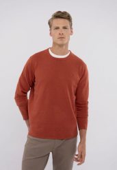 Lekki sweter S-RADO. Brązowe swetry męskie Volcano, m, bez wzorów, z bawełny, bez kołnierzyka. Za 139.99 zł.