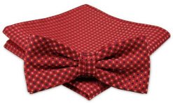 Modna Mucha Męska - Alties - Odcienie Pomarańczowego. Brązowe krawaty i muchy męskie Alties, bez wzorów, eleganckie. Za 54.00 zł.