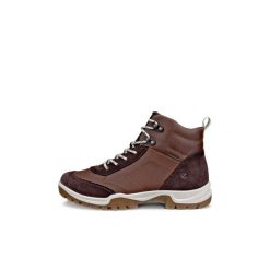 Buty trekkingowe za kostkę damskie Ecco Xpedition III. Brązowe obuwie trekkingowe damskie ECCO. Za 570.00 zł.