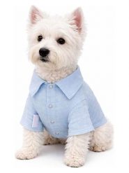 Paws&Whiskers Koszulka w kolorze błękitnym dla psa rozmiar: S. Niebieskie t-shirty damskie Paws&Whiskers, s, bez wzorów, bez kołnierzyka. Za 98.95 zł.