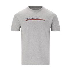 Koszulka Cruz Doney. Szare t-shirty sportowe męskie CRUZ, bez ramiączek, do biegania. W wyprzedaży za 115.00 zł.