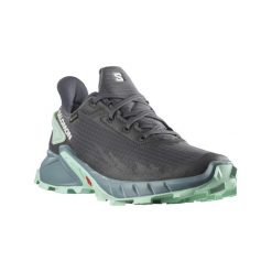 Buty turystyczne damskie Salomon Alphacross 4 Gtx. Szare obuwie do biegania damskie Salomon. W wyprzedaży za 385.70 zł.