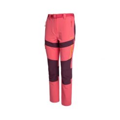 Spodnie techniczne damskie RHUNE W Mount-Stretch, wodoodporne, elastyczne i oddy. Brązowe spodnie dresowe damskie IZAS, na zimę, m, bez wzorów. Za 356.48 zł.