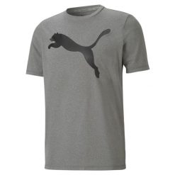 T-shirt z krótkim rękawem męski Puma ACTIVE BIG LOGO. Fioletowe t-shirty męskie Puma, m, bez wzorów, bez kołnierzyka. Za 153.00 zł.