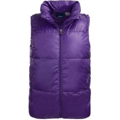 Damska pikowana kamizelka Reebok XS – ametyst. Fioletowe kamizelki damskie Reebok, xs, z puchu. Za 185.99 zł.