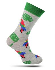 Skarpetki Casualowe, Szare w Kolorowe Papugi, ARA,, Męskie -EM Men's Accessories. Szare skarpetki męskie Em men's accessories, bez wzorów, z bawełny. Za 29.99 zł.