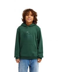 Bluza z kapturem dla Chłopcy COMP LOGO Zielony. Zielone bluzy z kapturem męskie Quiksilver, m, z bawełny. Za 169.99 zł.