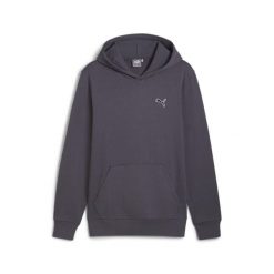 Męska bluza Better Essentials z kapturem PUMA Galactic Gray. Szare bluzy sportowe męskie Puma, bez wzorów, sportowe, bez kołnierzyka, bez ramiączek. Za 275.10 zł.