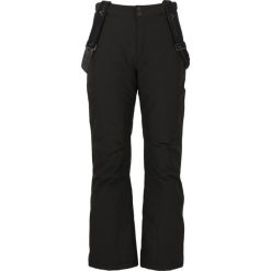 Spodnie narciarskie Whistler Portivo W-Pro 8000. Czarne szorty męskie WHISTLER, na zimę, bez wzorów. W wyprzedaży za 339.50 zł.