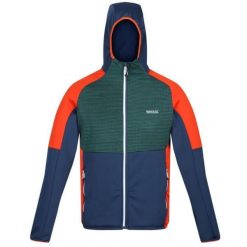 Kurtka softshell męska Regatta Attare, rozmiar S. Brązowe kurtki softshell damskie Regatta, m, bez wzorów, z softshellu, bez kaptura. Za 229.99 zł.