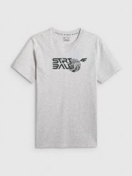 4F T-shirt regular z nadrukiem męski - szary 3XL. Szare t-shirty męskie 4f, m, bez wzorów, z bawełny, bez kołnierzyka. Za 69.99 zł.