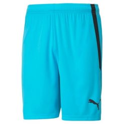 Spodenki sportowe męskie Puma Teamliga. Niebieskie szorty męskie Puma, m, z materiału, na fitness i siłownię. Za 79.99 zł.