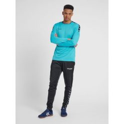 Hummel koszulka męska z długim rękawem hml Authentic Poly Jersey. Fioletowe koszulki męskie z długim rękawem HUMMEL, m, z jersey. Za 91.00 zł.