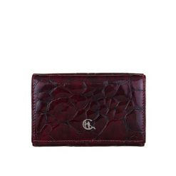 Portfel Damski Canaletto – Skóra Lakierowana, Ochrona RFID, Elegancja i Trwałość PD1221cs78 RFID. Brązowe portfele damskie bez wzorów, z lakierowanej skóry. Za 169.00 zł.