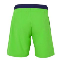 Short Tecnifibre Stretch. Zielone szorty męskie TECNIFIBRE, bez wzorów, z materiału. Za 69.99 zł.