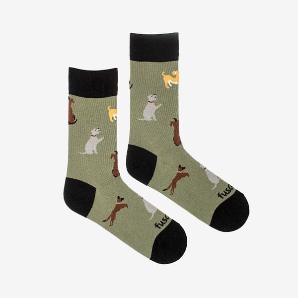 Skarpety Coqui 35-38. Zielone skarpetki damskie Coqui, bez wzorów. Za 94.99 zł.