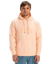 Bluza z kapturem COMP LOGO Różowy Mężczyźni. Czerwone bluzy z kapturem męskie Quiksilver, m, z bawełny. Za 299.99 zł.