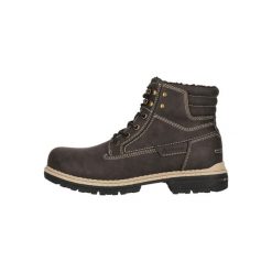 Buty Whistler Rego. Brązowe buty trekkingowe męskie WHISTLER, bez zapięcia, trekkingowe. W wyprzedaży za 280.00 zł.