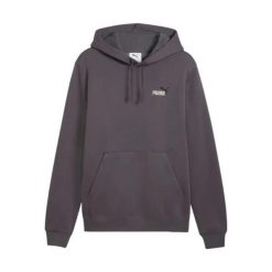 Bluza Puma Ess 2 Color Small No. 1 Logo Hoodie Fl Dorośli. Szare bluzy sportowe damskie Puma, s, bez wzorów, z bawełny, bez ramiączek, długie, z kapturem. Za 292.99 zł.
