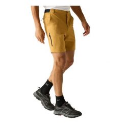 Męskie Spodenki Podróżne Odstraszające Owady. Niebieskie szorty męskie Regatta, bez wzorów, z elastanu. Za 183.99 zł.