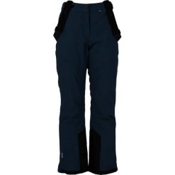 Spodnie narciarskie dla kobiet Whistler Drizzle Pro. Niebieskie spodnie dresowe damskie WHISTLER, na zimę, bez wzorów. Za 319.99 zł.