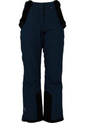 Spodnie narciarskie dla kobiet Whistler Drizzle Pro. Brązowe spodnie materiałowe damskie WHISTLER, bez wzorów, z poliesteru. Za 319.99 zł.
