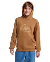 Bluza z kapturem dla Chłopcy COMP LOGO Brązowy. Brązowe bluzy z kapturem męskie Quiksilver, m, z bawełny. Za 169.99 zł.