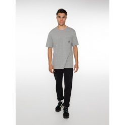 Koszulka Protest Isiah. Szare t-shirty męskie Protest, na lato, m, z bawełny, bez ramiączek. Za 129.99 zł.