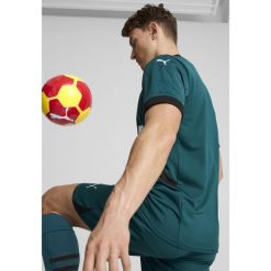 Męska koszulka wyjazdowa RC Lens 24/25 PUMA Varsity Green Black. Czarne t-shirty sportowe męskie Puma, m, ze lnu, bez ramiączek, do piłki nożnej. W wyprzedaży za 331.00 zł.
