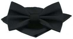 Mucha Męska w Zestawie z Poszetką - Alties - Jednolita, Czarna. Czarne krawaty i muchy męskie Alties, bez wzorów, eleganckie. Za 65.00 zł.