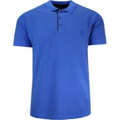Koszulka POLO, Chabrowa Casualowa, Męska, Krótki Rękaw, Jednokolorowa, T-shirt -EXPOMAN. Niebieskie koszulki polo męskie Expoman, m, bez wzorów, z bawełny, bez ramiączek. Za 109.00 zł.