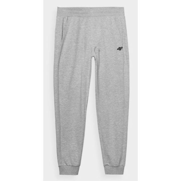 Spodnie Męskie 4F. Szare spodnie materiałowe męskie 4f, bez wzorów. Za 170.99 zł.