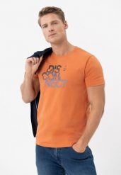 T-shirt z printem T-DIS. Brązowe t-shirty męskie Volcano, l, bez wzorów, z bawełny, bez kołnierzyka. Za 59.99 zł.